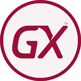GeneXus 17 Analyst